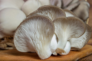 Fresh Oyster Mushroom On The Board